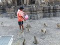 Lopburi P0572 Phra Prang Sanyod